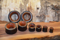 Load image into Gallery viewer, A set of Holz Tunnel Eisenholz Rotholz schwarz braun handgeschnitzt ear plugs in various sizes are displayed on a piece of wood, with a blurred, textured wooden background behind them.
