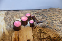 Cargar imagen en el visor de la galería, Five small, cylindrical Holz Plug Sonoholz rosa schillernd Resin Inlay double flared plugs with pink tops are arranged on a textured, light-brown tree log with visible bark and wood grain.
