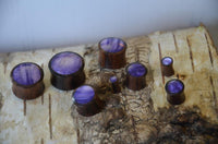 Load image into Gallery viewer, Several Holz Plug Sonoholz lila schillernd Resin Inlay double flared plugs with polished wood and shimmering purple resin tops are arranged on birch bark, each varying in size to highlight their unique craftsmanship.
