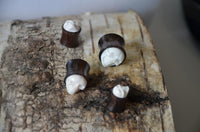 Load image into Gallery viewer, A close-up of four Holz Plug Sonoholz Bone Inlay Totenschädel double flared plugs, each featuring a white skull design, displayed on textured light-colored bark—distinctive organic Ohrschmuck for unique style.
