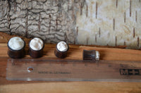 Load image into Gallery viewer, Four small Holz Plug Sonoholz Bone Inlay Totenschädel double flared plugs with white skull faces, each in a dark wooden base, are lined up beside a clear ruler on wood, with tree bark in the background.
