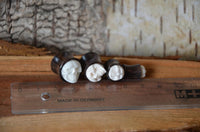 Load image into Gallery viewer, Four small Holz Plug Sonoholz Bone Inlay Totenschädel double flared pieces are lined up next to a transparent MADE IN GERMANY ruler on wood, set against a tree bark background—ideal for fans of organic Ohrschmuck.
