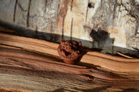 Load image into Gallery viewer, A hand-carved, red-brown Holz Plug featuring a pirate skull (Pirat Totenkopf) rests on textured wood, with a rustic wooden background—evoking the charm of double flared, handgeschnitzt craftsmanship.
