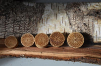 Cargar imagen en el visor de la galería, Krokodil Holz Plug Mandala Blume hell double flared
