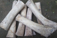 Load image into Gallery viewer, Bone Tunnel weiß Kreis Rim schwarz double flared
