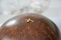 Load image into Gallery viewer, Anhänger 925 Sterling Silber vergoldet Libelle gold
