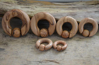 Cargar imagen en el visor de la galería, Captive Bead Klemmkugel Ring Olivenholz Piercing Dehner
