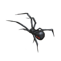 Load image into Gallery viewer, Klebetattoo temporär Spinne realistisch spitze Beine schwarz rot 1 Bogen

