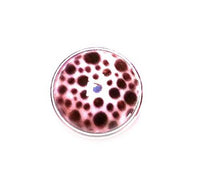 Load image into Gallery viewer, Chunks Buttons Druckknöpfe Click Button für Lederarmband Chunk Edelstahl Armband Leoprint Punkte
