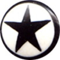 Cargar imagen en el visor de la galería, Buffalo Horn Fake Piercing, leicht gebogener Spike, schwarz mit weißer Kappe und schwarzem Stern, Ohrhänger, Ohrstecker, Ohrring
