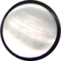 Cargar imagen en el visor de la galería, Buffalo Horn Fake Piercing, leicht gebogener Spike, schwarz mit eingefasstem Perlmutt, Ohrhänger, Ohrstecker, Ohrring
