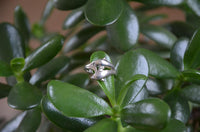 Load image into Gallery viewer, Ring Filigran Zwei Delphine 925er Sterling Silber
