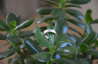 Load image into Gallery viewer, Bandring gerade 5mm breit gebürstet 925 Sterling Silber
