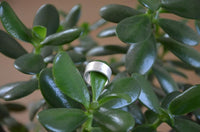 Load image into Gallery viewer, Bandring gerade 9mm breit gebürstet 925 Sterling Silber
