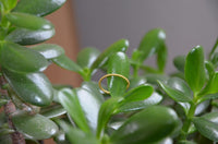 Load image into Gallery viewer, Silberring vergoldet schmal Seil Optik 1mm gold
