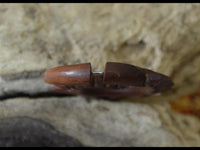 Load image into Gallery viewer, Tribal Fake Piercing Spirale Zacken Holz Edelstahl
