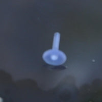 Cargar imagen en el visor de la galería, Bio Plastik Labret Piercing Bioacryl klar Ersatz Stecker

