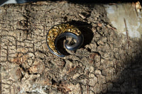 Load image into Gallery viewer, Piercing Gunmetall Brass Spirale Ohrgewicht 5mm grau gold
