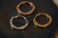 Load image into Gallery viewer, Segmentring Piercing Kristalle Edelstahl Gold PVD
