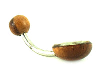 Cargar imagen en el visor de la galería, Organic Perlmutt Tamarind Holz braun weiß Bauchnabelpiercing Scheibe Bananenpiercing Edelstahl

