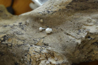 Cargar imagen en el visor de la galería, Bauchnabel Piercing Edelstahl Knochen Skull
