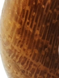 Cargar imagen en el visor de la galería, Holz Creolen 16mm Ohrringe Horn Pin organic
