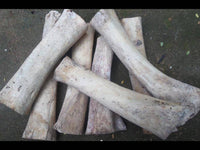 Load image into Gallery viewer, Bone Pin Creolen 63mm weiß Knochen Ohrringe Handarbeit verzierte Träne Schmuck - chic - net.de
