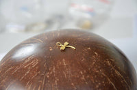 Load image into Gallery viewer, Anhänger 925 Sterling Silber vergoldet Libelle gold - chic-net.de
