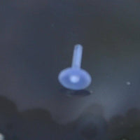 Cargar imagen en el visor de la galería, Bio Plastik Labret Piercing Bioacryl klar Ersatz Stecker - chic-net.de
