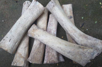 Load image into Gallery viewer, Bone Tunnel weiß Kreis Rim schwarz double flared - chic-net.de
