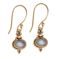 Cargar imagen en el visor de la galería, Brass Ohrringe mit Stein antik golden Tropfen oval rund Geige Messing Ohrhänger - chic-net.de
