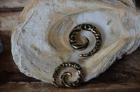 Load image into Gallery viewer, Brass Piercing Dehnschnecke Resin schwarz gold Spiralen - chic-net.de
