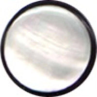 Cargar imagen en el visor de la galería, Buffalo Horn Fake Piercing, leicht gebogener Spike, schwarz mit eingefasstem Perlmutt, Ohrhänger, Ohrstecker, Ohrring - chic-net.de
