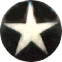 Cargar imagen en el visor de la galería, Buffalo Horn Fake Piercing, leicht gebogener Spike, schwarz mit schwarzer Kappe und weißem Stern, Ohrhänger, Ohrstecker, Ohrring - chic-net.de
