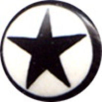 Cargar imagen en el visor de la galería, Buffalo Horn Fake Piercing, leicht gebogener Spike, schwarz mit weißer Kappe und schwarzem Stern, Ohrhänger, Ohrstecker, Ohrring - chic-net.de

