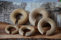 Cargar imagen en el visor de la galería, Donut Ohr Piercing Dahlie Krokodilholz Ohrgewicht - chic-net.de
