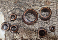 Cargar imagen en el visor de la galería, Holz Flesh Tunnel Kokosholz Inlay Tamarindenholz braun - chic-net.de
