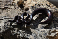 Cargar imagen en el visor de la galería, Holz Lobe Piercing Dehner dunkelbraun gewunden - chic-net.de
