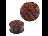 Load image into Gallery viewer, Holz Plug Netz Maserung natürlich hellbraun braun Tunnel Tribal Expander Ohrplug - chic-net.de
