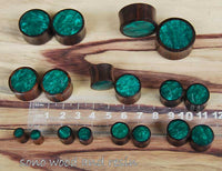 Cargar imagen en el visor de la galería, Holz Plug Sonoholz dunkelgrün schillernd Resin Inlay double flared - chic-net.de
