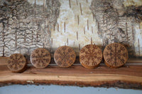 Load image into Gallery viewer, Holz Teakholz Plug Awe Helm braun double flared - chic-net.de
