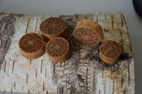 Cargar imagen en el visor de la galería, Holz Teakholz Plug Ornament braun double flared - chic-net.de
