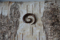 Load image into Gallery viewer, Kopie von Parasitholz Dehnschnecke Spirale Piercing Expander - chic-net.de
