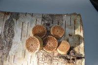 Cargar imagen en el visor de la galería, Krokodil Holz Plug Mandala Blume hell double flared - chic-net.de
