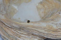 Load image into Gallery viewer, Labret Lippen Piercing Bio Acryl Amethyst antik golden Brass Tragus Conch Helix - chic-net.de
