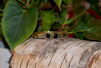 Cargar imagen en el visor de la galería, Messing Armreif golden Onyx rund Spirale Zopfrand verstellbar antik Tribal Schmuck - chic-net.de
