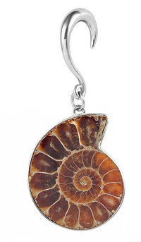 Load image into Gallery viewer, Nautilus Ohrgewicht Hook Piercing Edelstahl 4mm-8mm - chic-net.de
