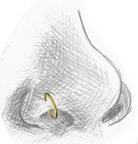 Load image into Gallery viewer, Nostril Piercing Messing Nasenstecker Nasenringe Nasen Pins gold 8mm 10mm 12mm - chic-net.de
