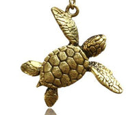 Load image into Gallery viewer, Ohrgewicht 6mm Piercing Anhänger Brass Ohrring gold Hook Bone Skull Schildkröte - chic-net.de
