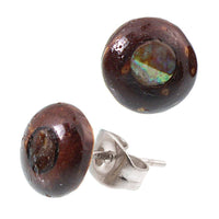 Load image into Gallery viewer, Ohrstecker Unisex 8 mm Kokosnuss Holz Edelstahl Muschel Stein Inlay rund Stern - chic-net.de
